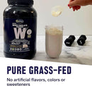 Biochem 100% WHEY PROTEIN NATURAL 36.9 Powder
