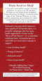 BRAVO TEA Absolute Schisandra Berry Tea 20 BAG